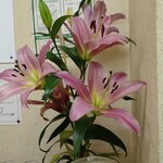 ふじ - ゆりは香りますね