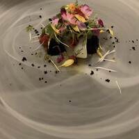 ARMONICO - 