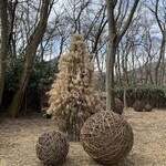 NOMU hakone - ツリー？