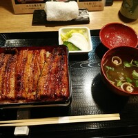 うなぎ 目白ぞろ芽 - 