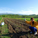 Mus - 北海道の直営ファーム　アスパラの収穫