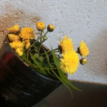 桜坂なかむら - 