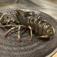 ニュー松坂 六本木店 - 