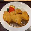 宇治洋食屋カレー