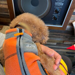 THE NUTS EXCHANGE - おやつを食べてのんびり