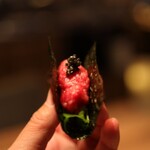 燒肉Ushigoro 新宿三丁目店 - 魚子醬與精選和牛手捲