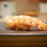 島津 - ◇車海老（熊本）
      噛む度に瑞々しく香りを放ち、シャリの酸味が立ち上がると甘みを強く感じさせるように移ろう。