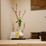 島津 - 桃が綺麗に花を咲かせていました。