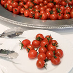 Osteria Camparo - 横山農園のトマト食べ放題