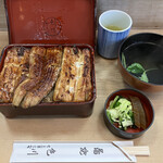 Unagi Irokawa - 