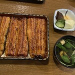 Unagi Hashimoto - 