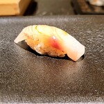 島津 - ホウボウ