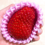 フルーツコレクションカクミ - 古都華(奈良県)♡