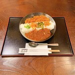 Mikaku Tengoku Tamaya - スパイスカレー  2種がけ