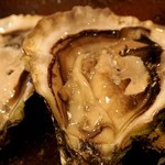 とんかつ マンジェ - 今入荷したばっかりの岩牡蠣をプレゼンされました