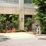 キノシタ - <'13/06/29撮影>外観の風景です