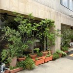 キノシタ - <'13/06/29撮影>外観の風景です