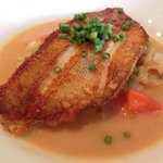 キノシタ - <'13/06/29撮影>デジュネ 1900円 のアイナメのポワレ あさりと春キャベツの軽い煮込み