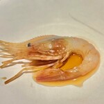 イチリン ハナレ - 2023.2.  牡丹海老