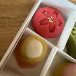 一炉庵 - 男雛と桜?