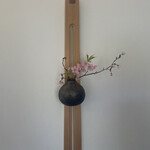 成生 - 河津桜かな❓