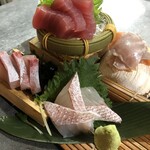 Today's carefully selected fresh fish sashimi platter