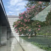 ジョバーノ - 入り口の回廊