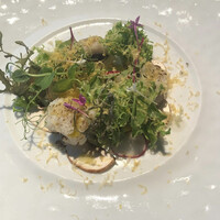 ジョバーノ - 前菜