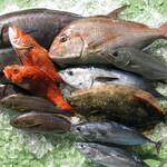 新宿 牡蠣入レ時 - 