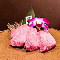 PONGA PREMIUM - 特選ヒレ