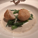 コート ドール - 