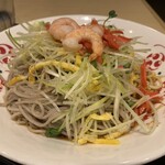 Irorian Kiraku - 麺２倍盛り胡麻油香る冷し香味ちらしそばです。（2023年3月）