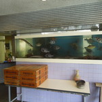 魚繁 - 鮮魚店の生簀