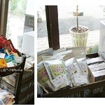 サンオリーブ - 