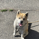 串焼き BUBU-TON - 