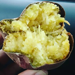 焼き芋専門店 いも福