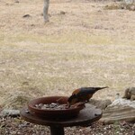 くつきそば 永昌庵 - 