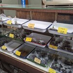 鮒秋 - ショーケース②