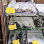 鮒秋 - ショーケースのアップ①