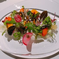 レフェルヴェソンス - 