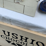 USHIO CHOCOLATL - 