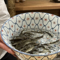 富小路 やま岸 - 