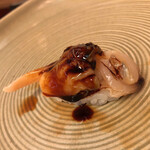 紫光 - アオヤギ