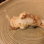 紫光 - アオリイカ