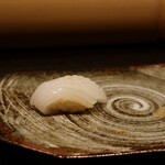 博多 鮨 よこ田 - アオリイカ（塩）