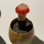 ラ・ヴァガボンド - 