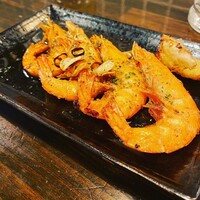 アカミヤコウシ - 