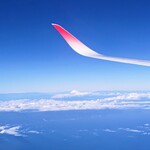 サクララウンジ - 参考 帰りの飛行機から富士山が見えました(^_^)v