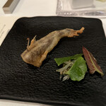 サーラ アマービレ - 