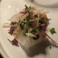 THE CONDER HOUSE - 桜鯛 青山椒と青葱のソース